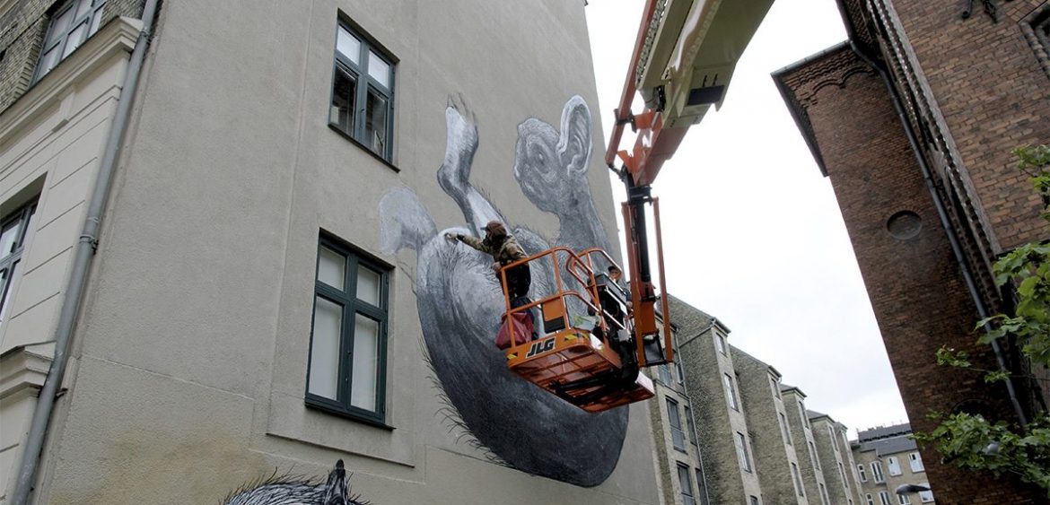 ROA