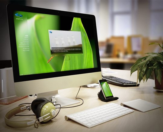 english-flashsite